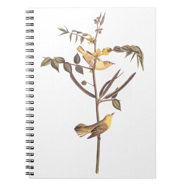 Carnet Audubon Paruline pour enfants Songbird (Devant)