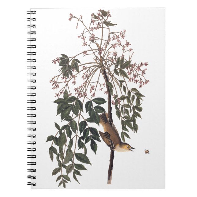 Carnet Audubon White Eyed Vireo Song Bird Art (Devant)