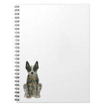 Australian Cattle Dog Blue Heeler ACD