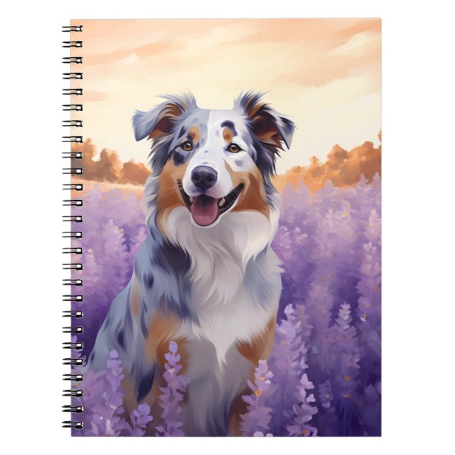 Carnet Australian Shepherd en Lavender (Devant)