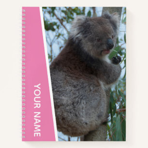 Carnet Australie Photo de portrait de koala, Filles roses