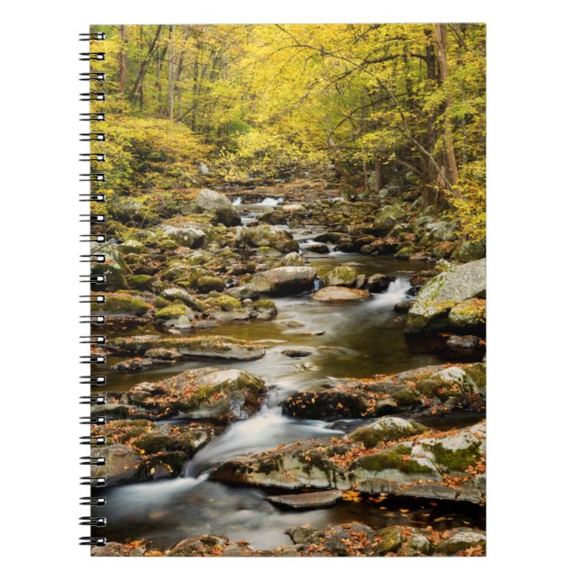 Carnet Automne à Big Creek (Devant)