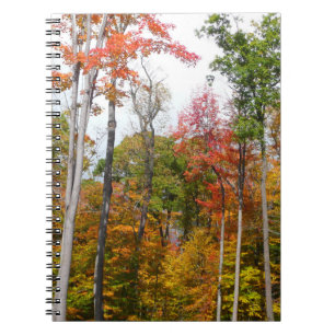 Carnet Automne dans la forêt Colorée Photographie d'autom