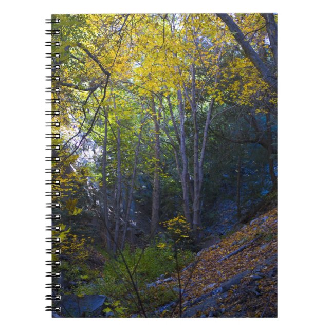 Carnet Automne dans les montagnes 2 (Devant)