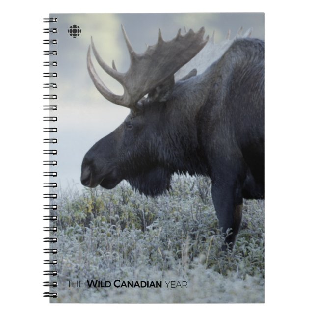 Carnet Automne - Moose (Devant)