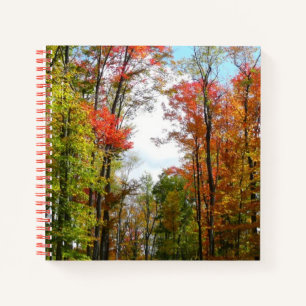 Carnet Automnes Arbres et Ciel bleu Automne Photographie