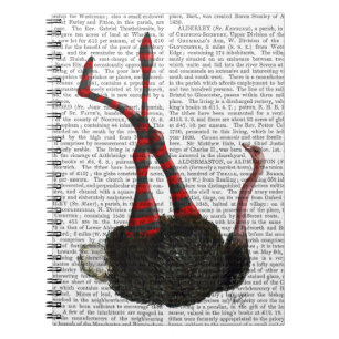 Carnet Autruche avec les guêtres rayées