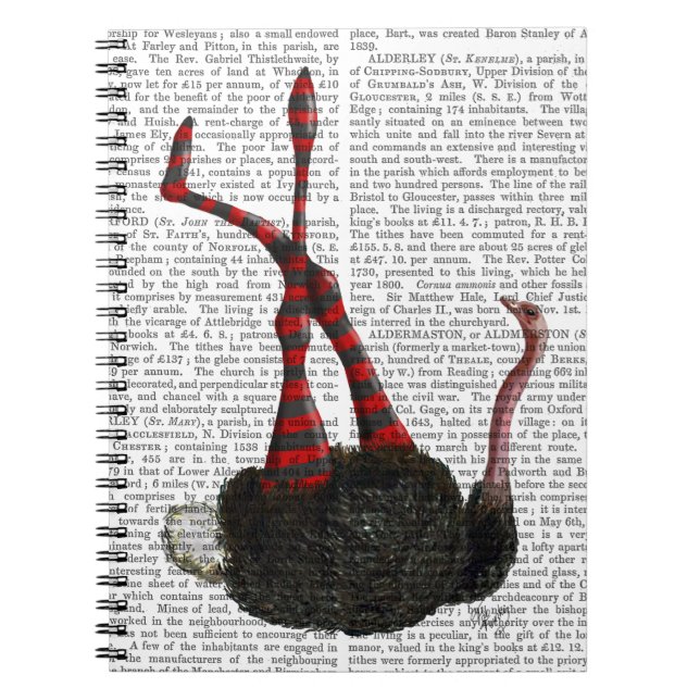 Carnet Autruche avec pattes rayées (Devant)