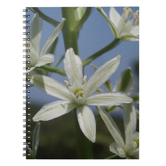 Carnet aux fleurs blanches (Devant)