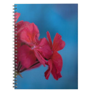 Carnet aux fleurs rouges