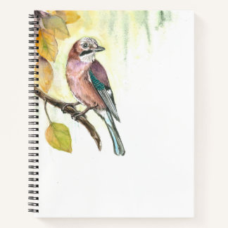 Carnet avec aquarelle Jay Eurasian
