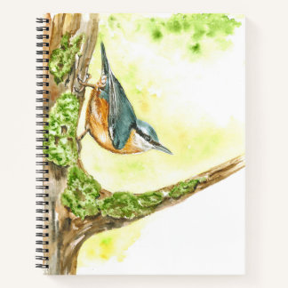 Carnet avec aquarelle Nuthatch