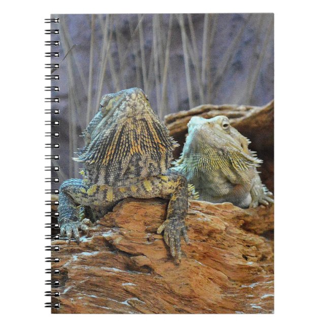 Carnet avec deux lézards curieux (Devant)