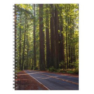 Carnet Avenue de séquoia géant la Californie