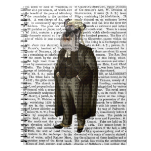 Carnet Avocat Schnauzer
