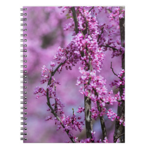 Carnet Avondale Redbud Art