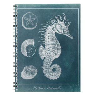 Carnet Azure Seahorse Study I