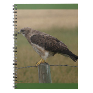 Carnet B10 Buse de Swainson