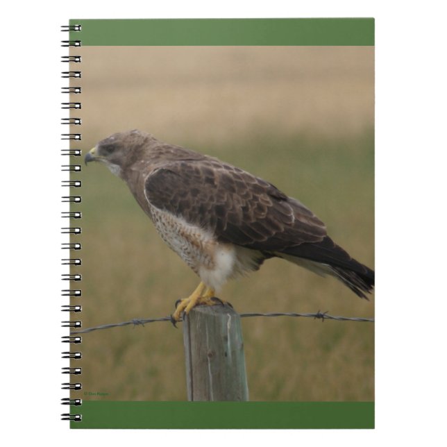 Carnet B10 Swainson's Hawk (Devant)