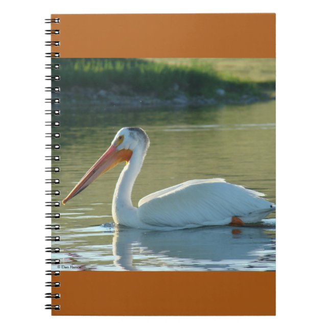 Carnet B4 Pélican blanc (Devant)