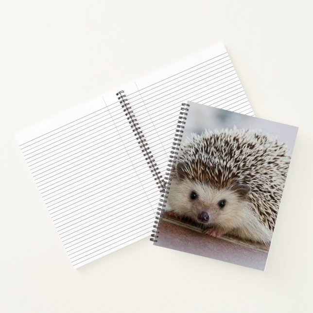 Carnet Baby hedgehog (Intérieur)