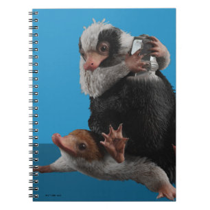 Carnet Baby Nifflers Find A Prize