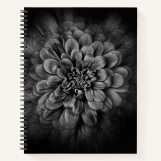Carnet Backyard Flowers In Black And White No 54 Flow