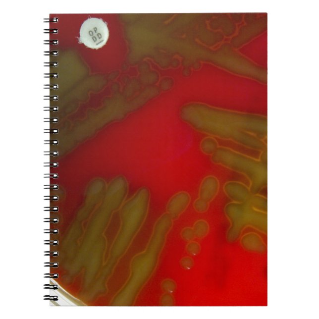 Carnet Bactéries de Penumonia (Devant)