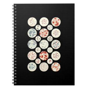 Carnet bactéries drôle microbiologie bactéries science