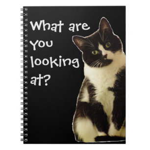 Carnet Badass Cats " Que regardez-vous ! "
