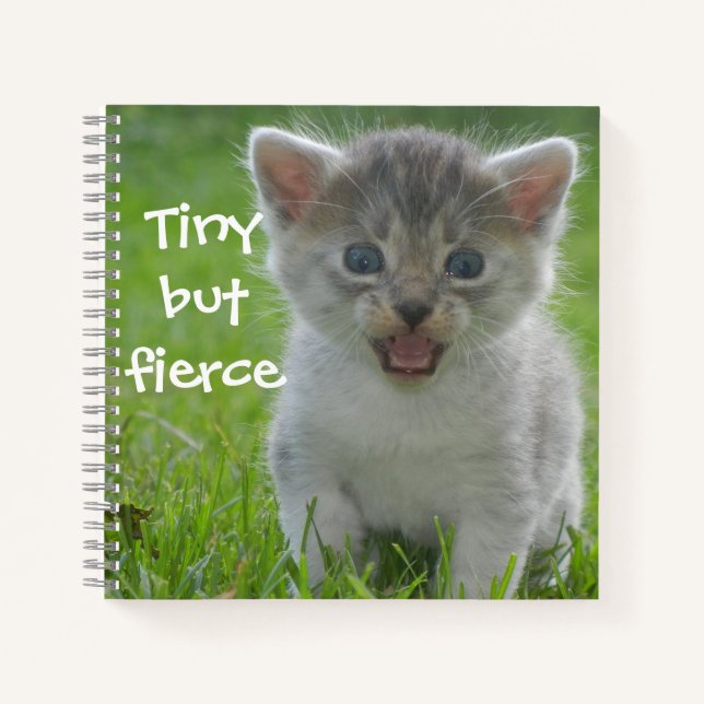 Carnet Badass Cats - "Tiny but Fierce" Kitten (Devant)