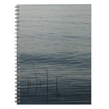 Baie paisible #5849