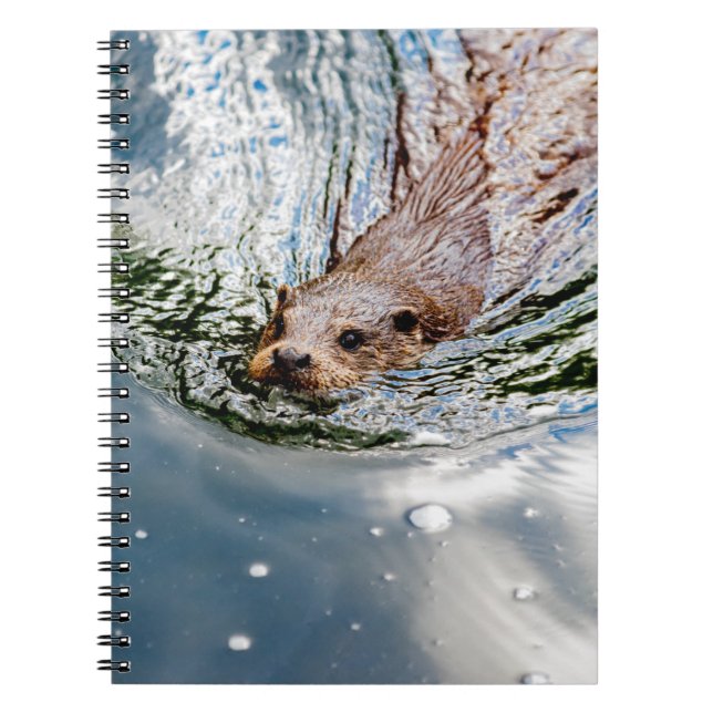 CARNET BAIGNADE DE SCEAU CUT (Devant)