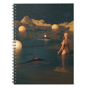 Carnet Baignade nocturne