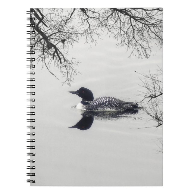 Carnet Baignades de plongée dans un lac du Nord en hiver (Devant)