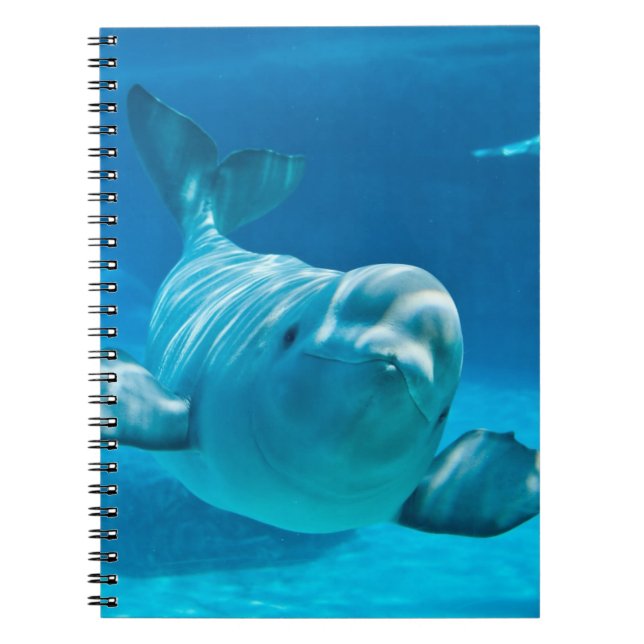 Carnet Baleine de beluga (Devant)