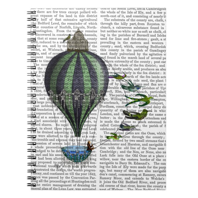 Carnet Ballons à air chaud et oiseaux (Devant)