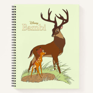 Carnet Bambi et père