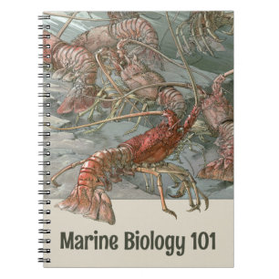 Carnet Banc de homards dans l'océan, Art nouveau vintage