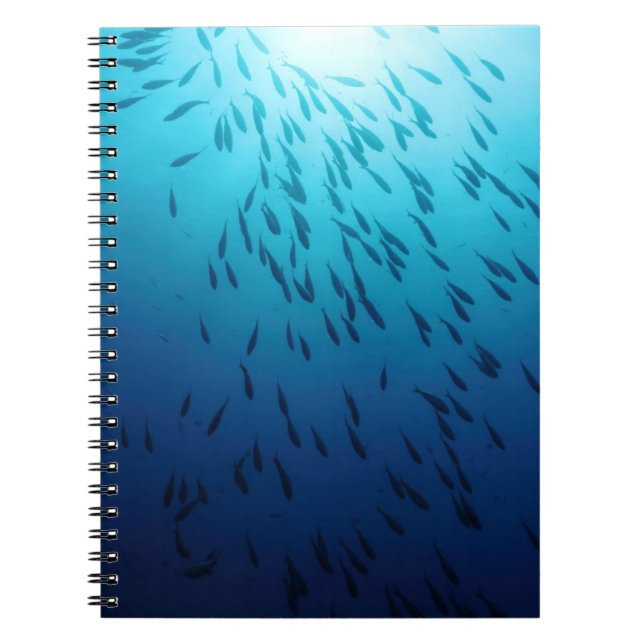 Carnet Banc des poissons (Devant)