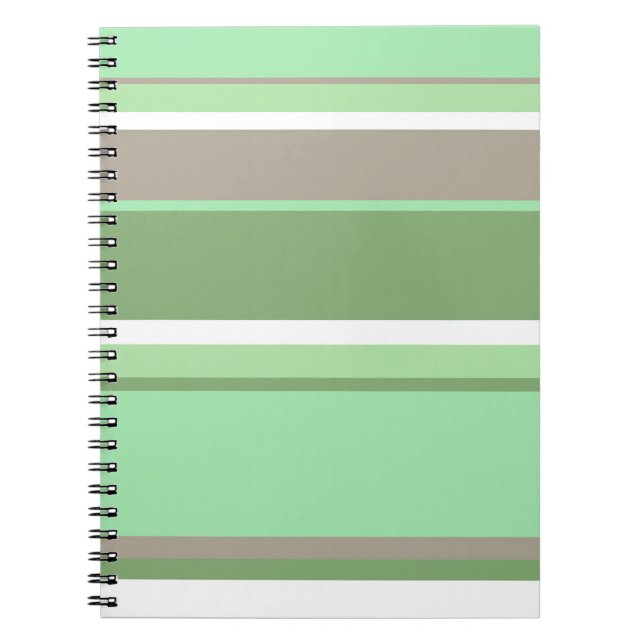 Carnet Bandes vert pâle (Devant)