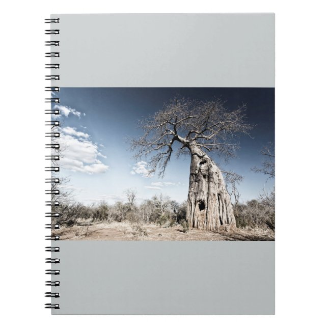Carnet Baobab dans le parc national des piscines de Mana, (Devant)