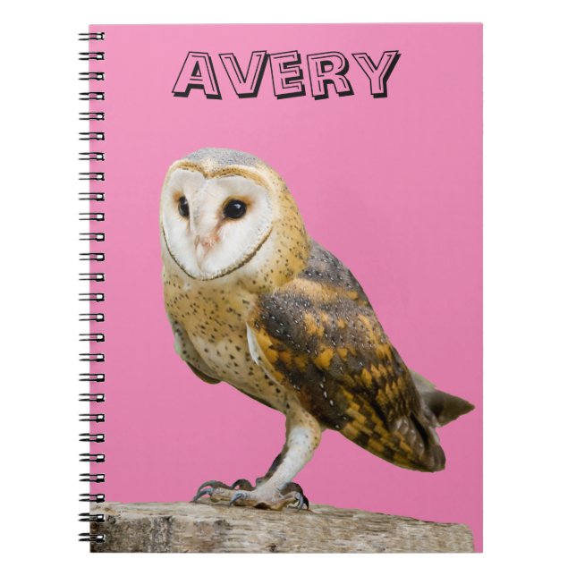 Carnet Barn Owl (Devant)