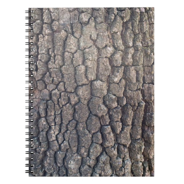 Carnet Barque d'arbre (Devant)