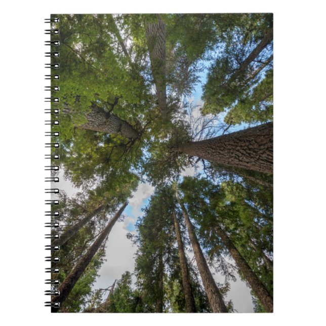 Carnet Barrage de Douglas Fir (Devant)