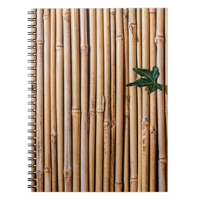 Carnet barrière pare-bambou (Devant)