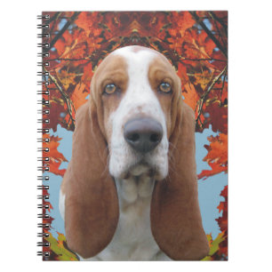 Carnet Basset Hound