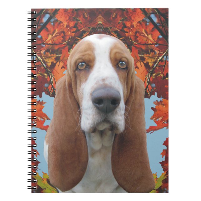 Carnet Basset Hound (Devant)