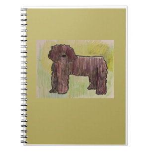 Carnet Bassie's Note Books