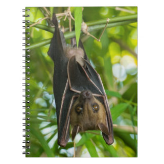 Carnet Batte